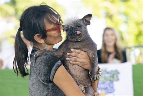 El Perro M S Feo Del Mundo El Nacional