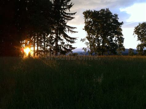 Sunset Behind the Trees on the Hill Stock Photo - Image of hill, field ...