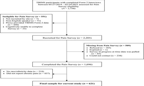 Disparities In Chronic Pain Experience And Treatment History The