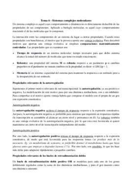 Tema 6 Sistemas Apuntes Pdf