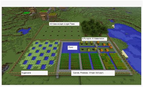 Minecraft Animal Farm Layout