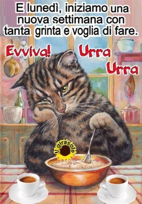 Pin di Rita su Buon lunedì Buongiorno immagini Buongiorno