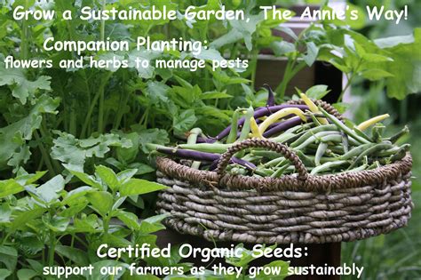 Annie's Heirloom Seeds | Hundreds Of Heirloom, Organic, and NonGMO ...