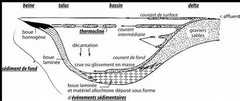 Dynamique Des Apports Et Des Processus De D P Ts Dans Les Milieux