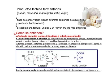 Productos Lacteos Fermentados PPT