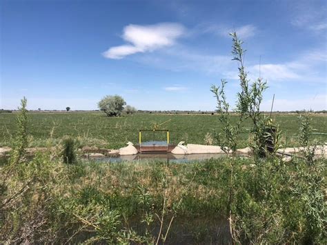 Waterfowl Hunting And Cattle Ranch For Sale In Fallon Nv Fallon Nv