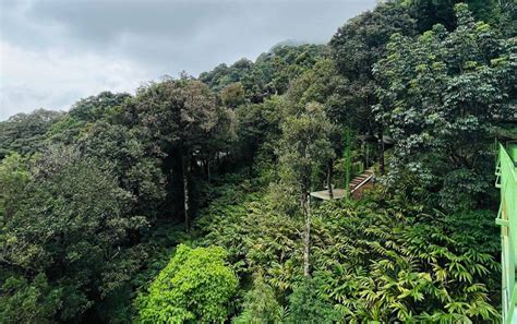 Glass Bridge in Wayanad | Experience the beauty of Wayanad