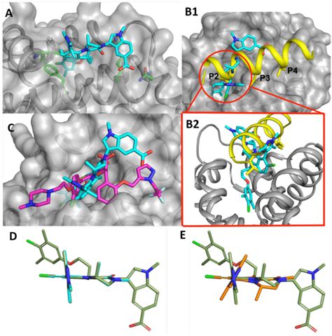 A X Ray Co Crystal Structure Of Mcl 1 Inhibitor 42 Cyan And Mcl 1