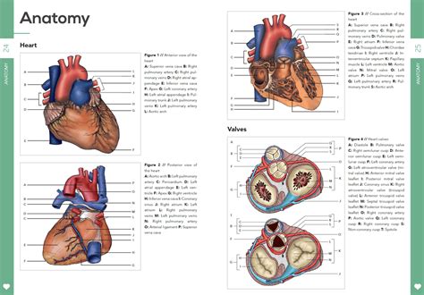 Pocket Cardiology – Compendium Medicine