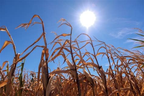 Les Infos De H M T O L Automne Sera Le Plus Chaud Jamais