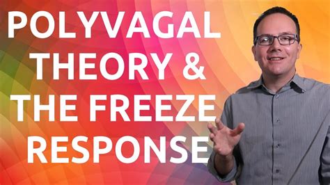 Polyvagal Theory And The FREEZE Response In Meditation YouTube