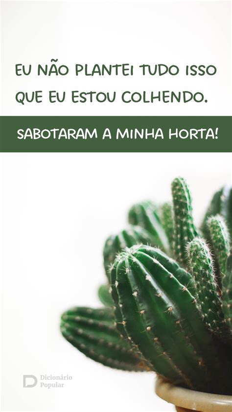 101 frases engraçadas para rolar de rir a qualquer hora 2023