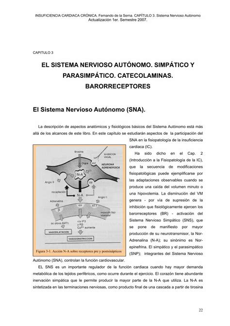 PDF EL SISTEMA NERVIOSO AUTÓNOMO SIMPÁTICO Y la Serna Existe