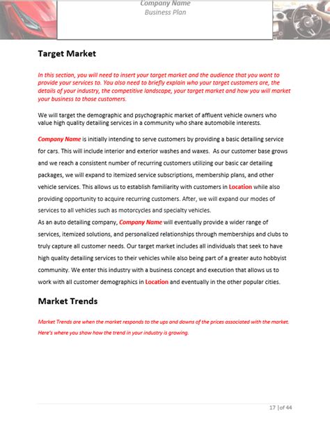 Auto Detailing Business Plan Template Sample Pages Black Box Business