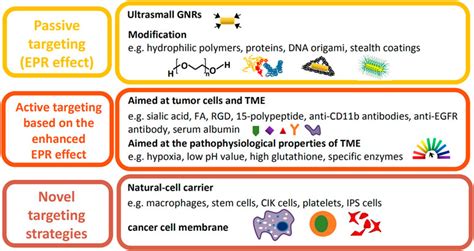 Frontiers Improvement Of Gold Nanorods In Photothermal Therapy Recent Progress And Perspective