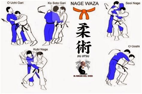 TÉCNICAS DE JIU JITSU Principiantes y todo lo que necesita saber