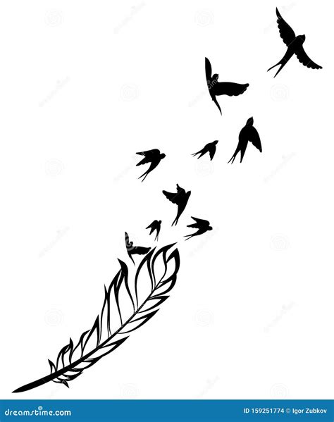 Plumas Y Dibujo Vectorial En Blanco Y Negro De Plumas Estilizadas Con