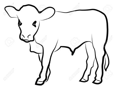 Cow And Calf Drawing at GetDrawings | Free download