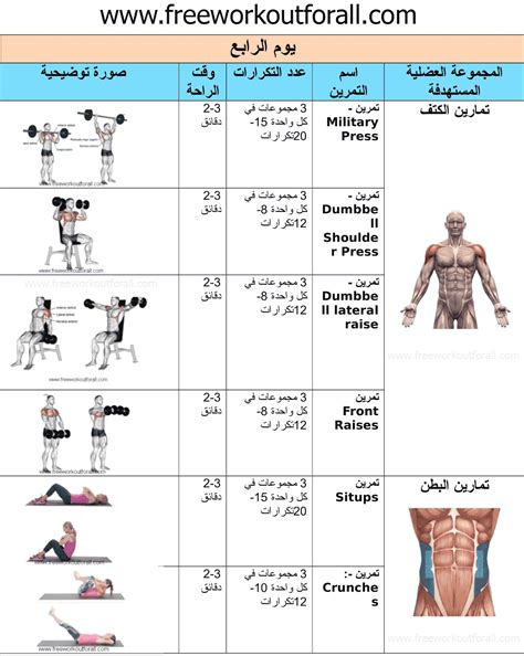 أقوى جدول تمارين كمال اجسام 4 أيام