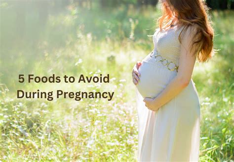 5 Foods To Avoid During Pregnancy Infoblogs