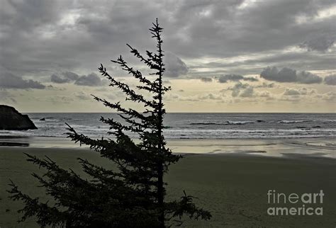 Southern Oregon Photograph By Michael Ziegler Fine Art America