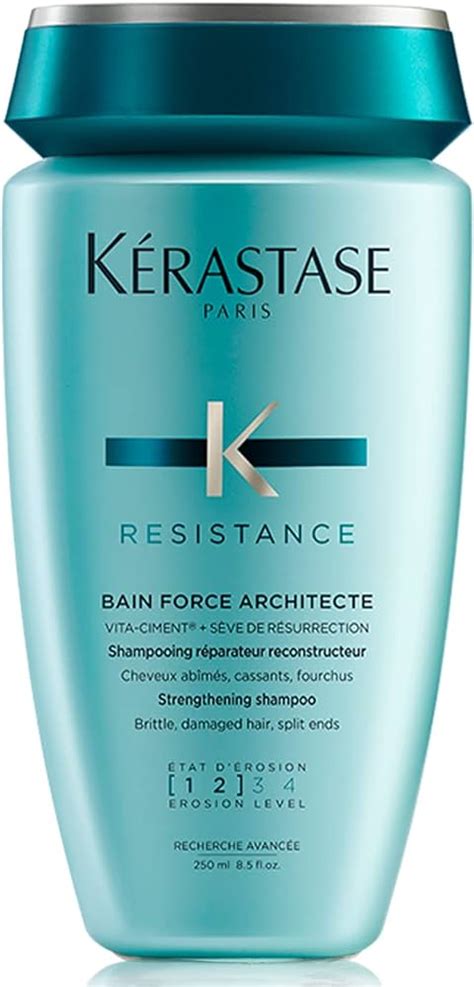 Kerastase Shampoo Professional Size Factory Sale Jkuat Ac Ke