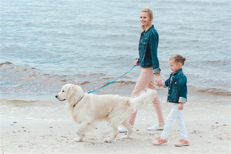 Hundestrand Carolinensiel Harlesiel