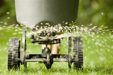 6 Step Fertilizing Program — Grass Guy