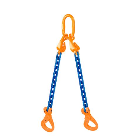 Chain Sling 2 Leg Grade 10 Master Link With Shortening Hook Clevis Self