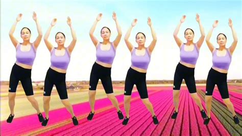 Aerobics Dance Workout Exercise To Lose Weight Reduce Body Fat Everyday At Home Lovely Dance