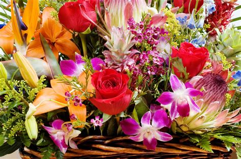 Exotic Flower Arrangement Jigsaw Puzzle In Flowers Puzzles On