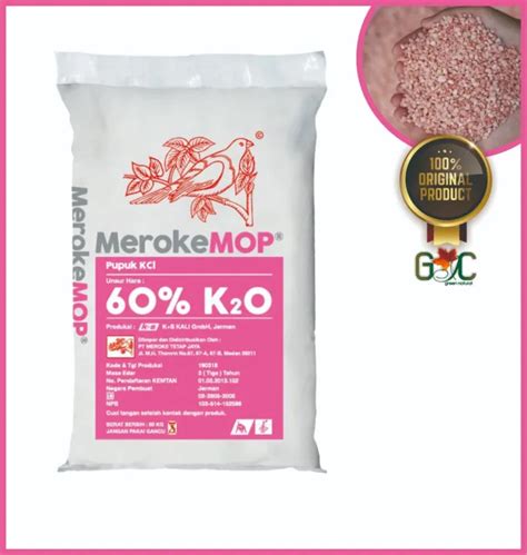 Original Pupuk KCL MOP Meroke Repack Kemasan Ekonomis Lazada Indonesia