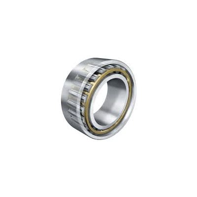 Jual Torb Toroidal Roller Bearings Fag Bearing Murah Fag Bearing