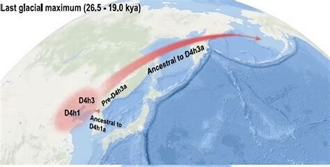 Encuentran Evidencias De Migraciones Humanas En La Edad Del Hielo Desde