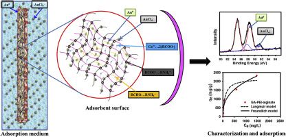 Benignly Fabricated Crosslinked Polyethylenimine Calcium Alginate