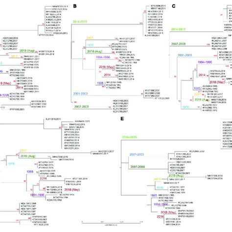 Phylogenetic Analysis Of In Silico Amplicons Based On 40 Genome