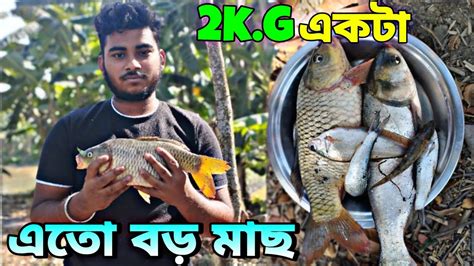 পুকুর থেকে এতো বড়ো মাছ উঠলো। 2kg একটা মাছ। কী করলাম মাছ দিয়ে🤔। A