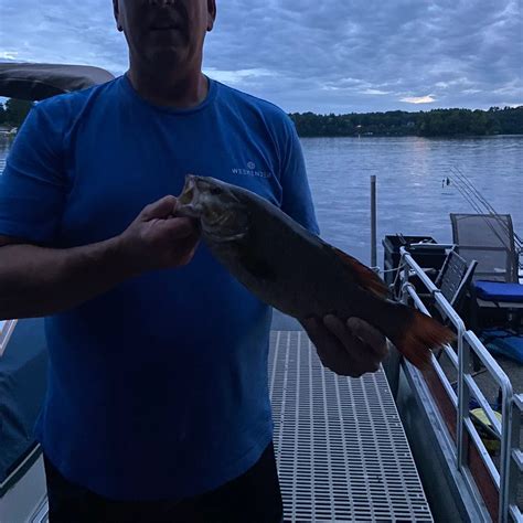 Croton Dam Pond Fishing Reports🎣• Big Rapids Mi United States Fishing