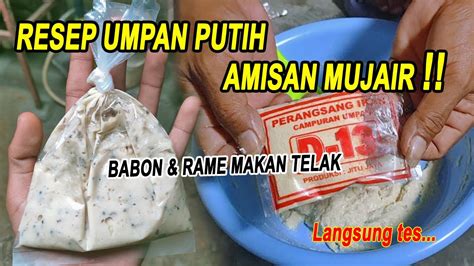 RACIKAN UMPAN IKAN MAS PUTIH WANGI SPESIAL BUAT IKAN RAME KASAR