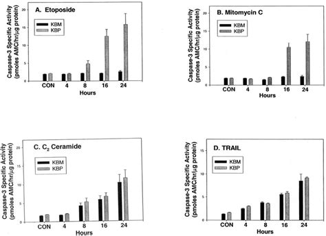 Time Dependent Effects Of Etoposide Mitomycin C C Ceramide And