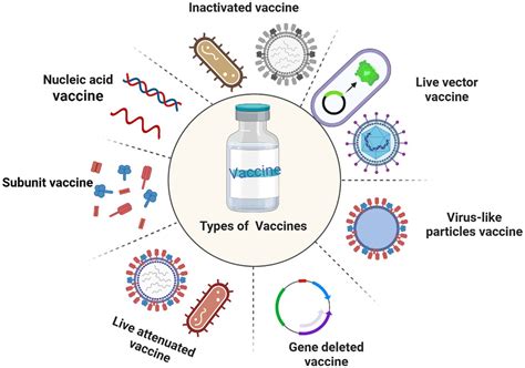 Frontiers The Combination Of Vaccines And Adjuvants To Prevent The