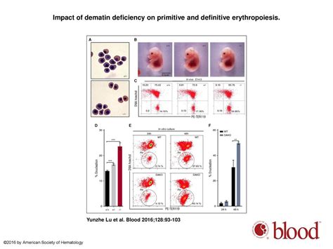 Gene Disruption Of Dematin Causes Precipitous Loss Of Erythrocyte