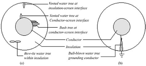 Cross-sectional view of XLPE cable showing types of water trees. | Download Scientific Diagram