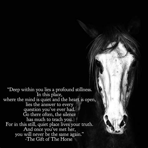 Pin by Stephanie Perry on Quotes | Inspirational horse quotes, Horse ...