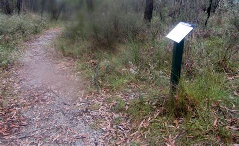 Tracks Trails And Coasts Near Melbourne Baluk Willam Nature