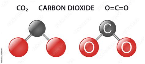 Carbon Dioxide Co2 Atom Model Illustration Stock Vector Adobe Stock