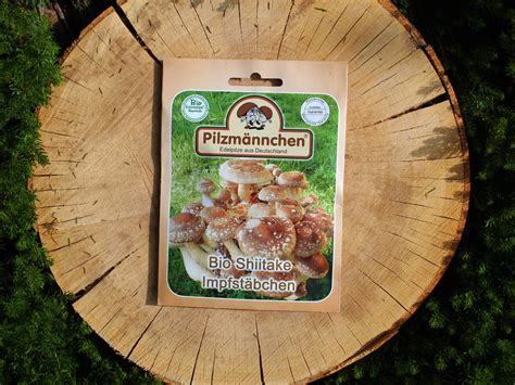 Shiitake Bio Impfstäbchen Pilzbrut 12 99