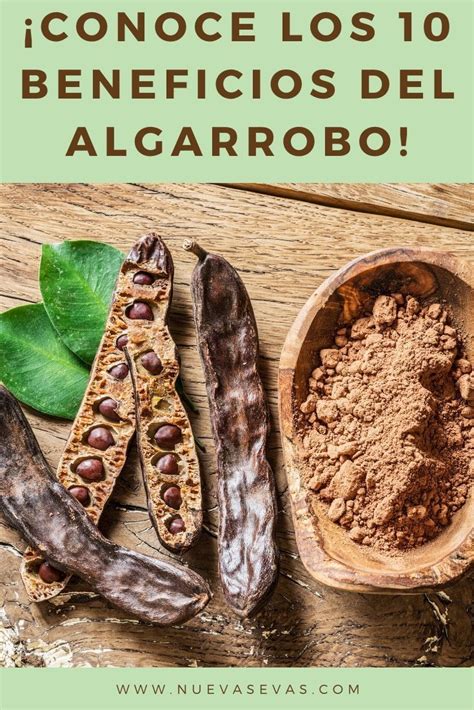 Beneficios Del Algarrobo Alimentos Naturais Fitoterapia Alimentos