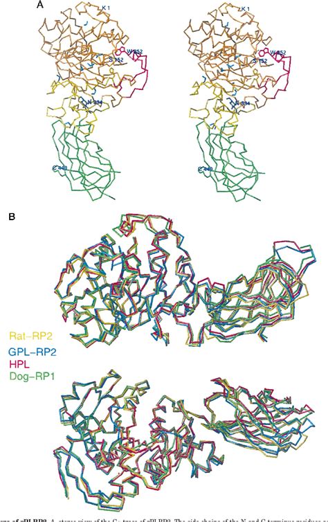 pancreatic lipase related protein 2 | Semantic Scholar