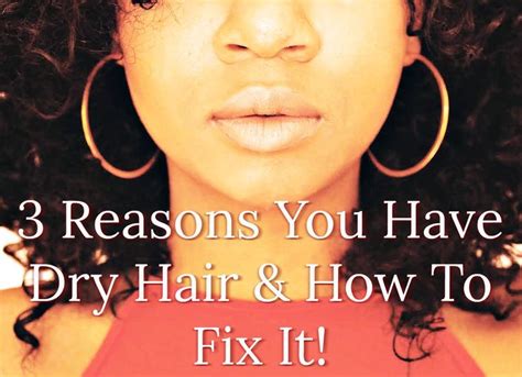 Brittle Hair 3 Reasons You Have Dry Hair And How To Fix It Brittle